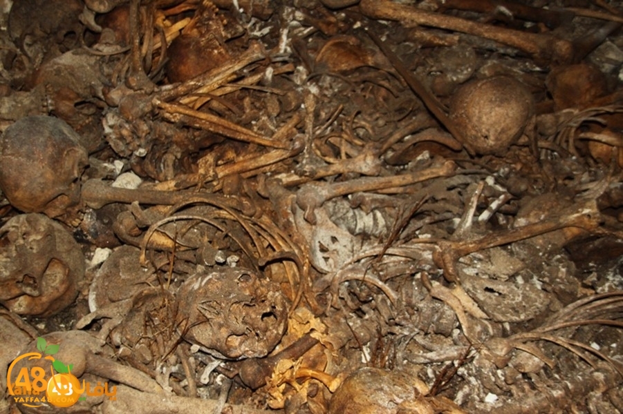 mdafenkazakhana512 (12).jpg.jpg.jpg